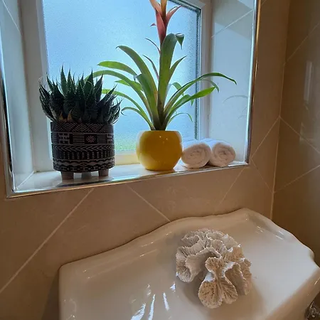 Holiday home Wild Ocean Embrace - 5 Min From Surfing