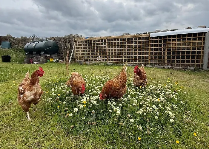 Wild Ocean Embrace - 5 Min From Surfing Tullaghan