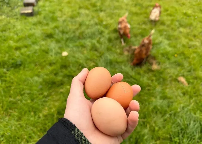 Wild Ocean Embrace - 5 Min From Surfing Ferienhaus Tullaghan