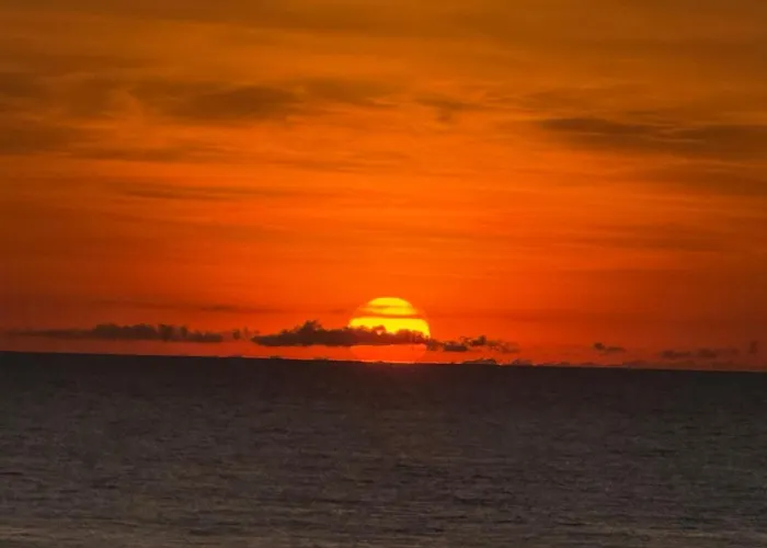 Wild Ocean Embrace - 5 Min From Surfing *